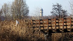 129_TZ60_P1060641_cr