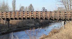 133_TZ60_P1060643_cr