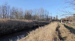 141_TZ60_P1060646_cr