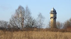 186_TZ60_P1060669_cr