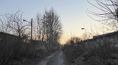 209_TZ60_P1060696_cr