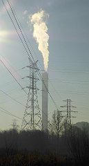 098_TZ60_P1060720_cr