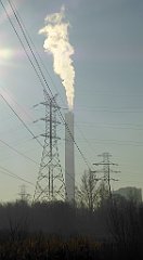 099_TZ60_P1060721_cr