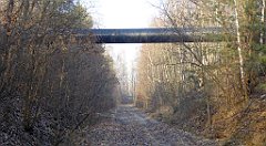 162_TZ60_P1060741_cr