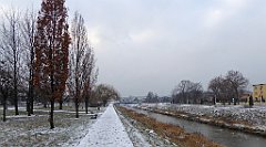 021_TZ60_P1070656_cr