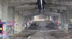 088_TZ60_P1070724_cr