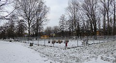 126_TZ60_P1070763_cr