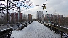 202_TZ60_P1070840_cr