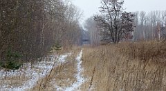 228_TZ60_P1070866_cr