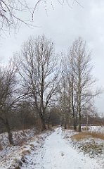 310_TZ60_P1070955_cr