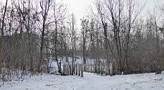 326_TZ60_P1070975_cr