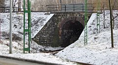 339_TZ60_P1070988_cr