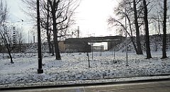 340_TZ60_P1070989_cr