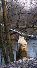 0027_TZ60_P1080345_cr