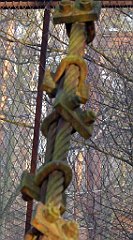 0045_TZ60_P1080358_cr