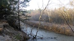 0058_TZ60_P1080363_cr