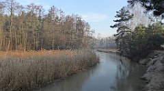 0068_TZ60_P1080367_cr