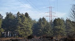 0092_TZ60_P1080373_cr