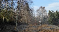 0107_TZ60_P1080385_cr