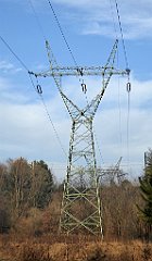 0109_TZ60_P1080387_cr