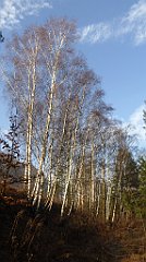 0116_TZ60_P1080394_cr