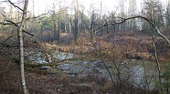 0131_TZ60_P1080406_cr