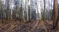 0149_TZ60_P1080424_cr