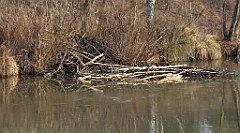 0202_TZ60_P1080464_cr