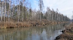 0203_TZ60_P1080465_cr