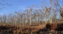 0215_TZ60_P1080473_cr