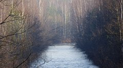 0236_TZ60_P1080484_cr