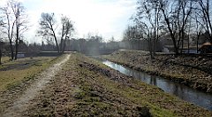 0296_TZ60_P1080538_cr