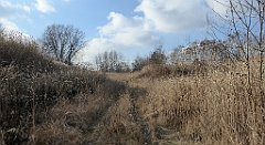 0372_TZ60_P1080611_cr