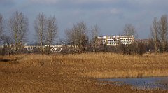 0391_TZ60_P1080625_cr