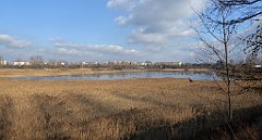 0399_TZ60_P1080640_cr