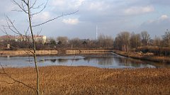 0407_TZ60_P1080653_cr