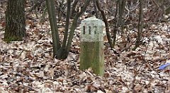 035_TZ60_P1080795_cr