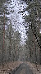 037_TZ60_P1080797_cr