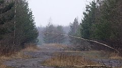 040_TZ60_P1080800_cr