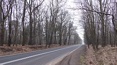 043_TZ60_P1080804_cr