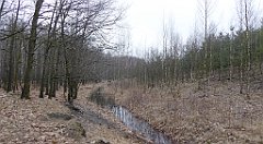 051_TZ60_P1080811_cr