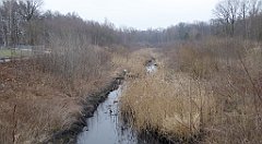 060_TZ60_P1080820_cr