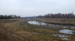 091_TZ60_P1080852_cr