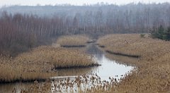 139_TZ60_P1080885_cr