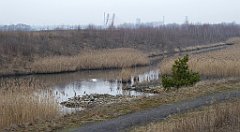 141_TZ60_P1080887_cr