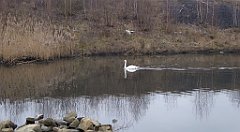 153_TZ60_P1080891_cr