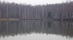 290_TZ60_P1080946_cr