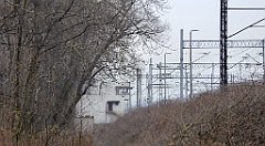 303_TZ60_P1080949_cr