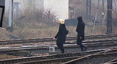 346_TZ60_P1080973_cr