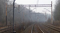 361_TZ60_P1080978_cr